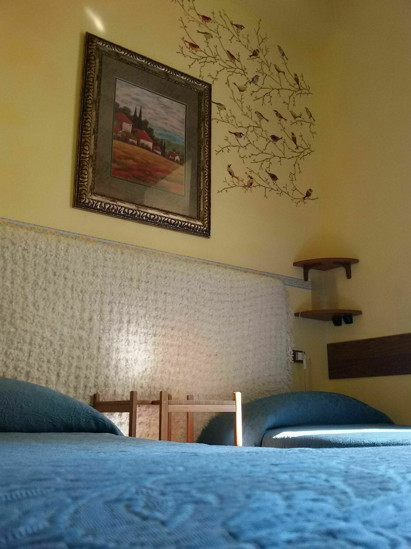 Arena Hotel 3*